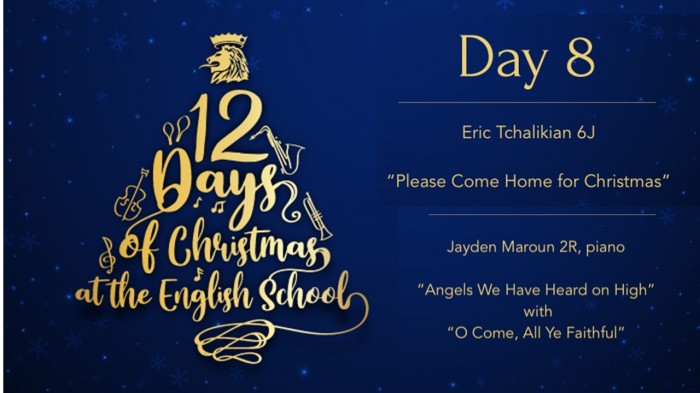 Day 8